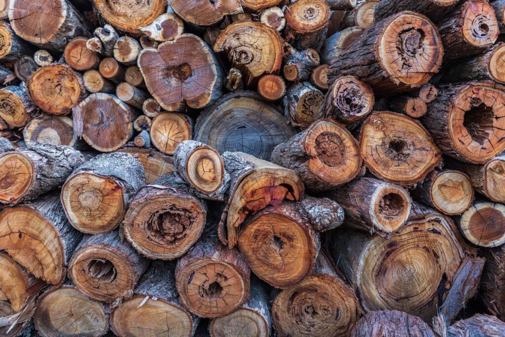 Counting growth rings on a round of cut firewood