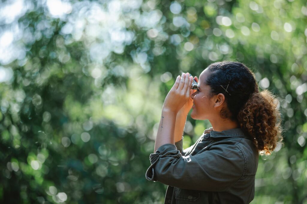 Homeowner scanning a tree canopy for hanging branches