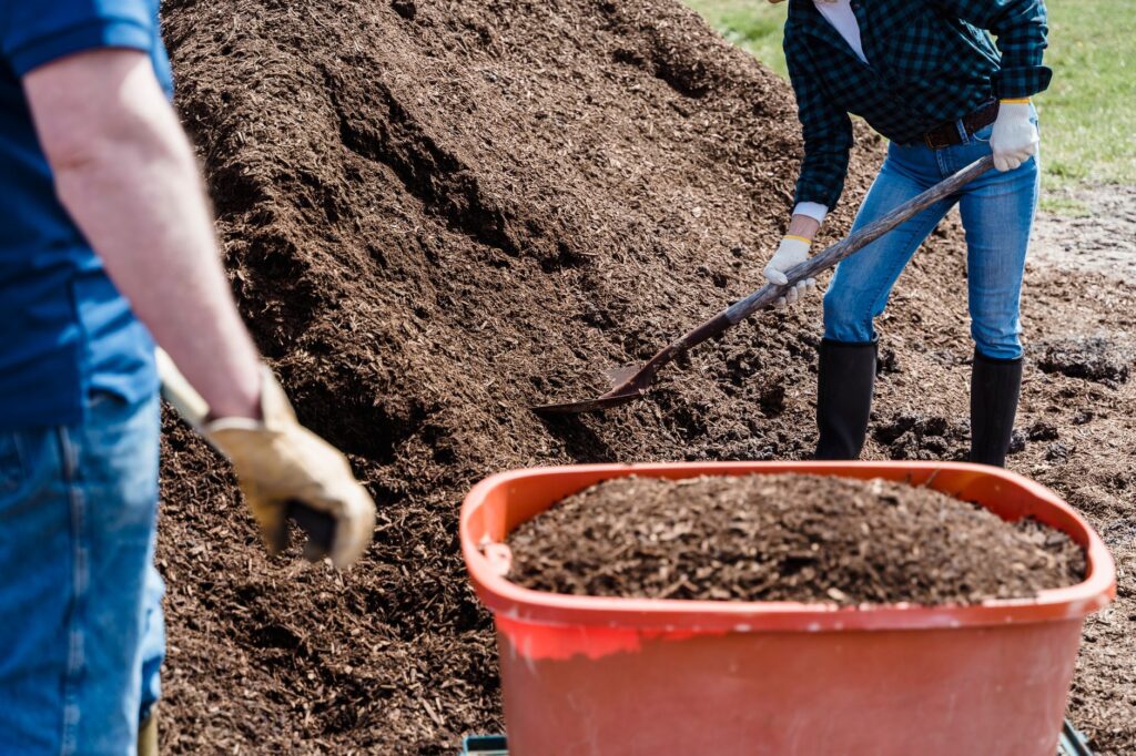 Gardener clearing mulch away from the base of a tree