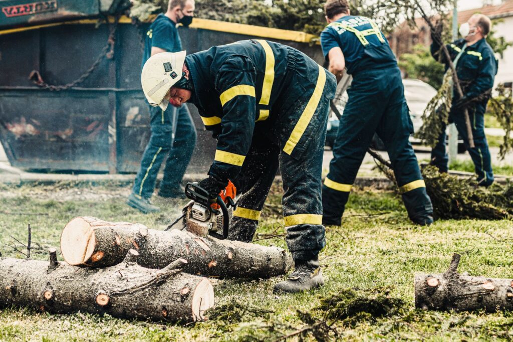 Person in helmet and chaps preparing to cut storm-fallen wood
