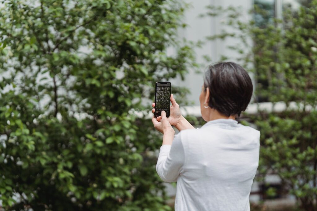 A homeowner photographing the trunk and canopy of a backyard tree to track seasonal changes