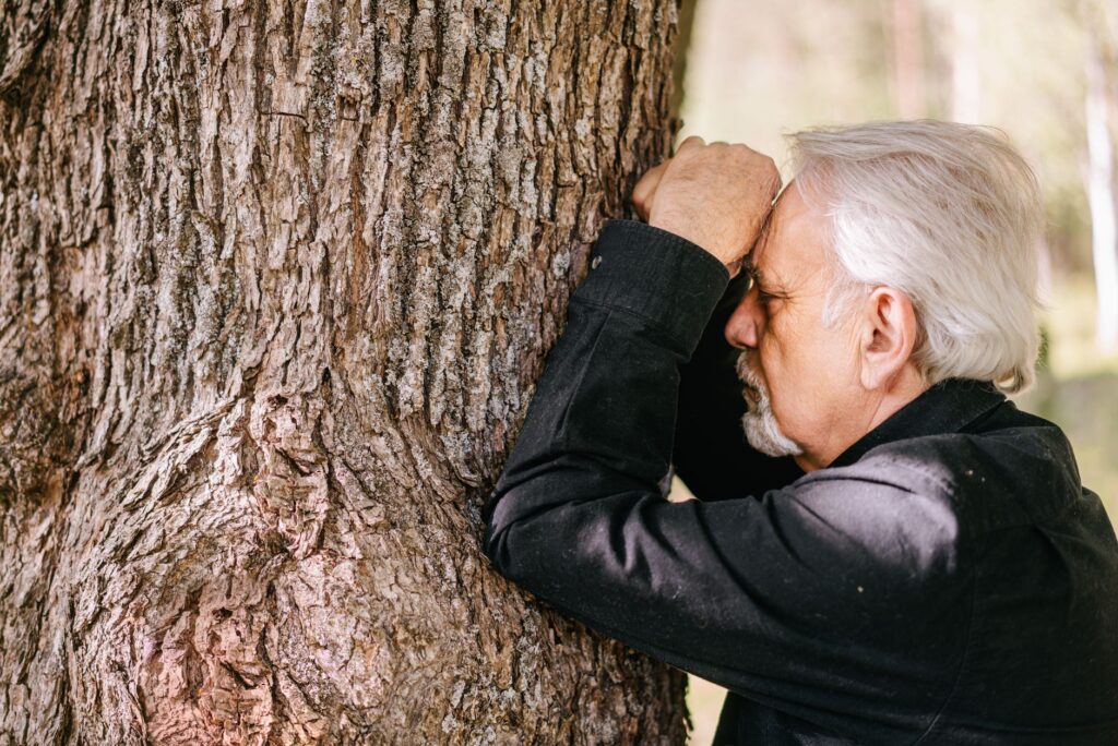 Certified arborist inspecting a tree trunk for winter damage
