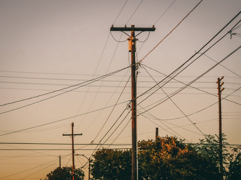 Utility pole and wires running through street trees in a suburban neighborhood